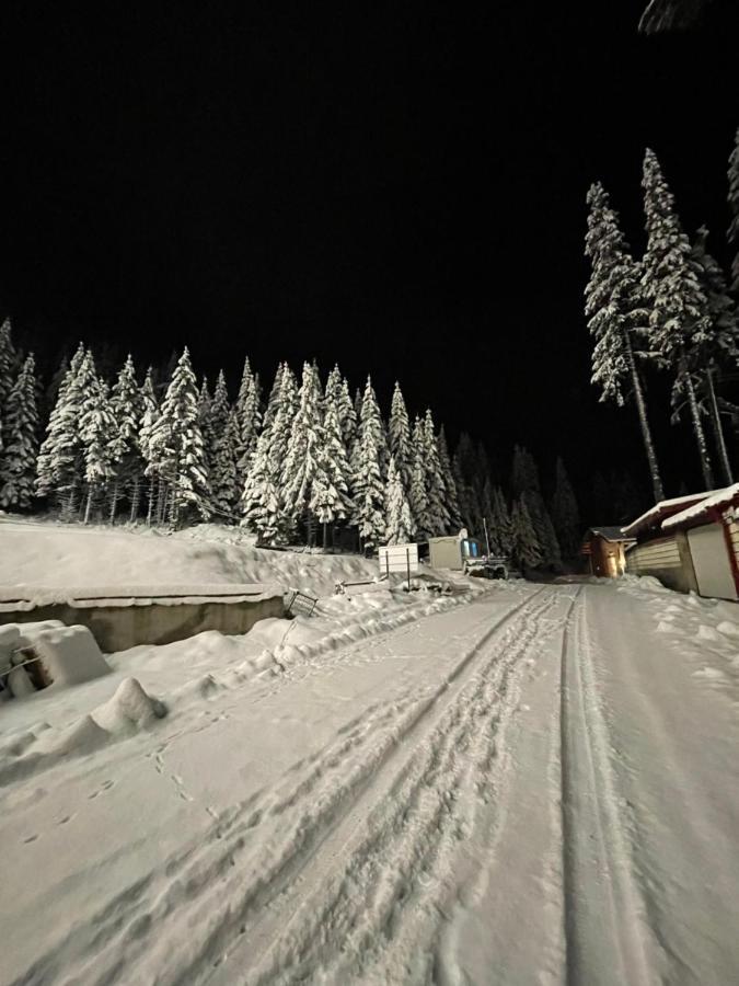 Cozy Apartment B35 In Grand Resort Pamporovo Exterior foto